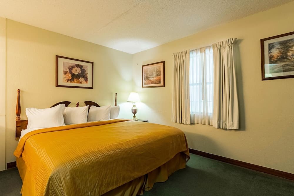 Econo Lodge Inn & Suites Bentonville - Rodgers