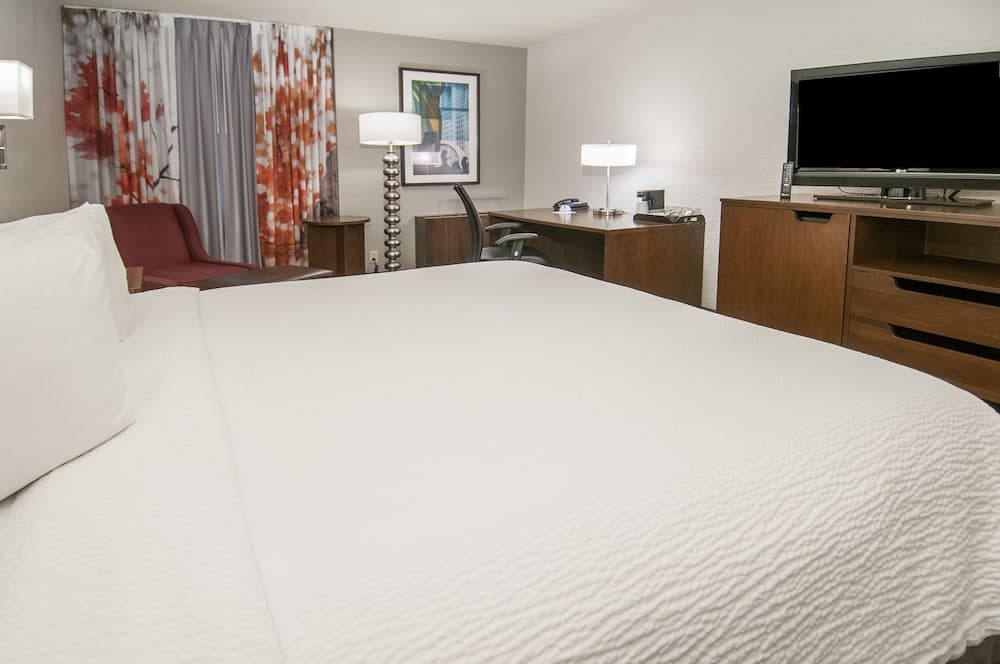 Fairfield Inn & Suites Dallas DFW Airport South/Irving