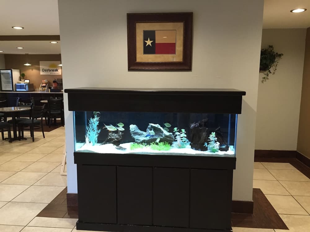 Days Inn by Wyndham New Braunfels