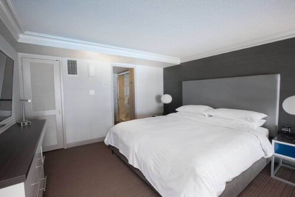 Niagara Falls Marriott on the Falls