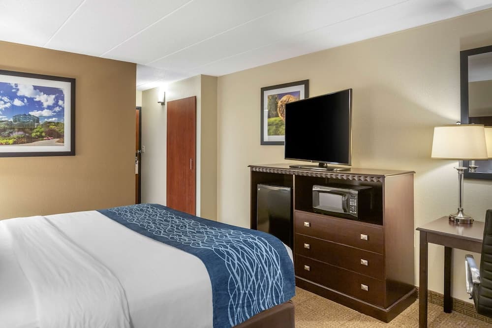 Comfort Inn Grand Rapids Airport