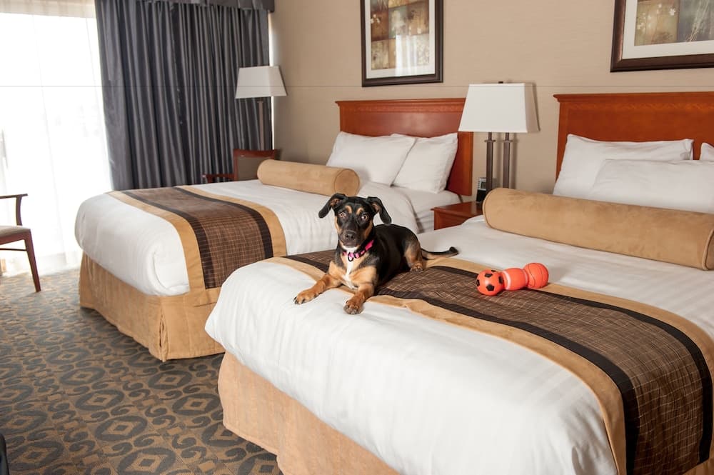 Best Western Brantford Hotel & Conference Centre