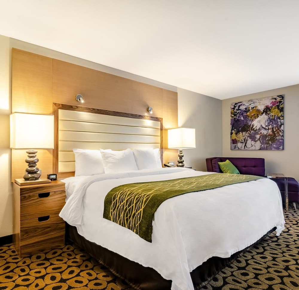 Comfort Inn Raleigh Midtown