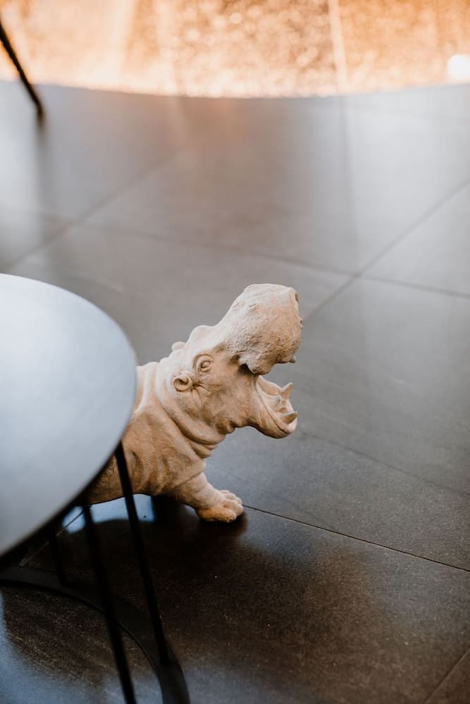 Prince Albert Lyon Bercy