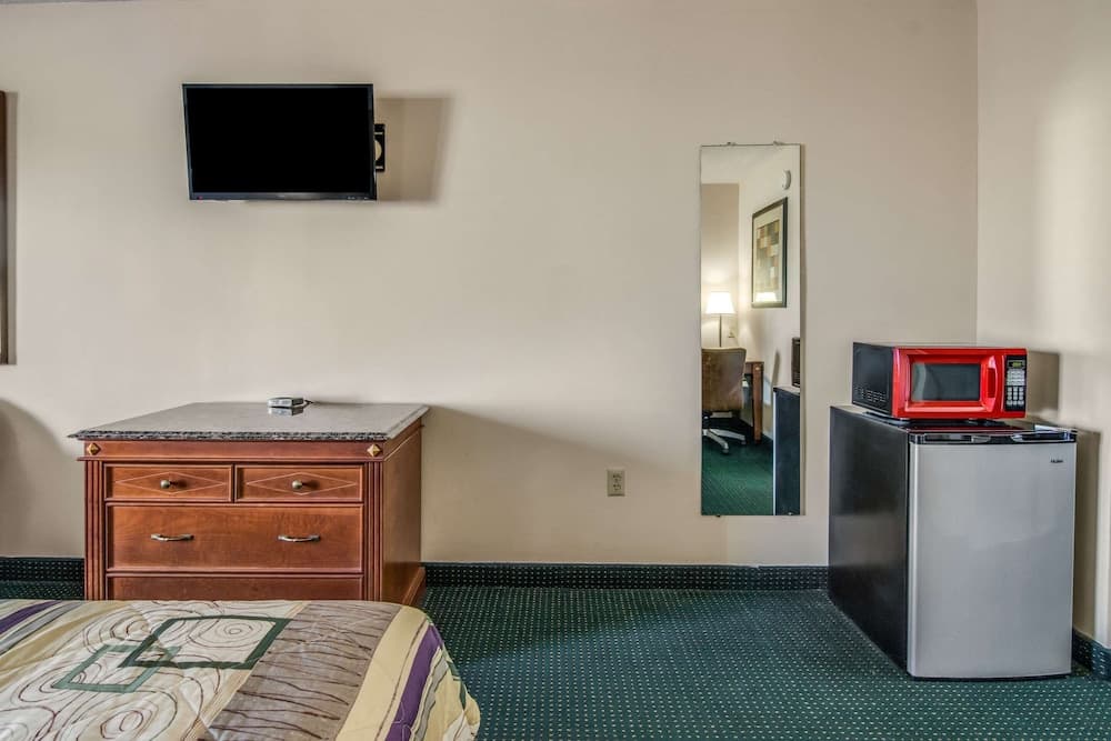 Rodeway Inn & Suites Dublin