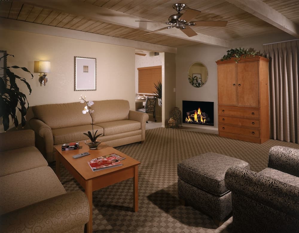 Desert Isle of Palm Springs