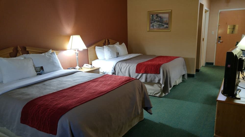 Econo Lodge Newport Smoky Mountains Gateway