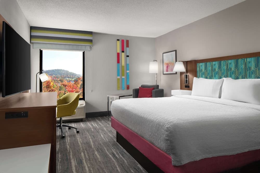 Hampton Inn Roanoke/Hollins - I-81