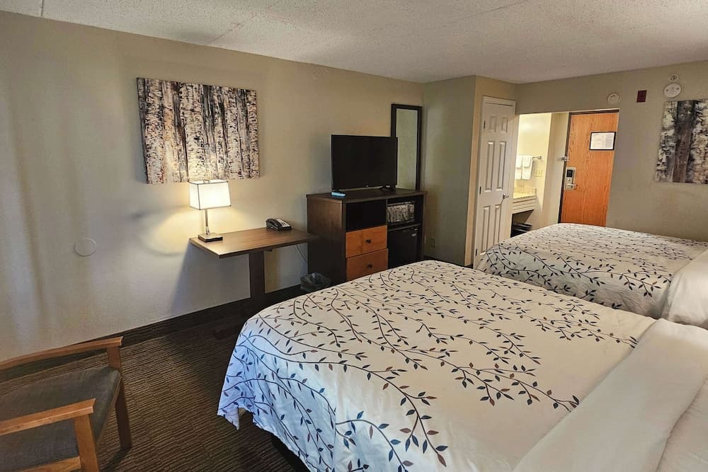 Americinn by Wyndham Birch Run/Frankenmuth