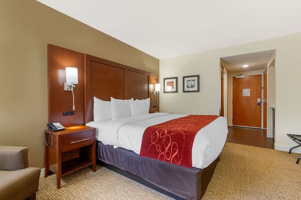 Comfort Inn & Suites Macon West