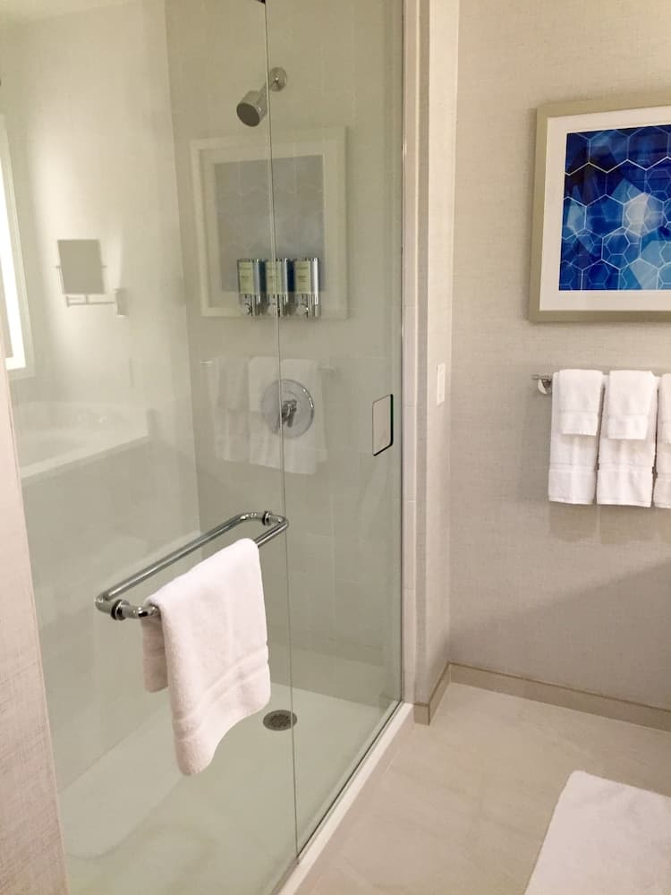 The Royal Sonesta Boston