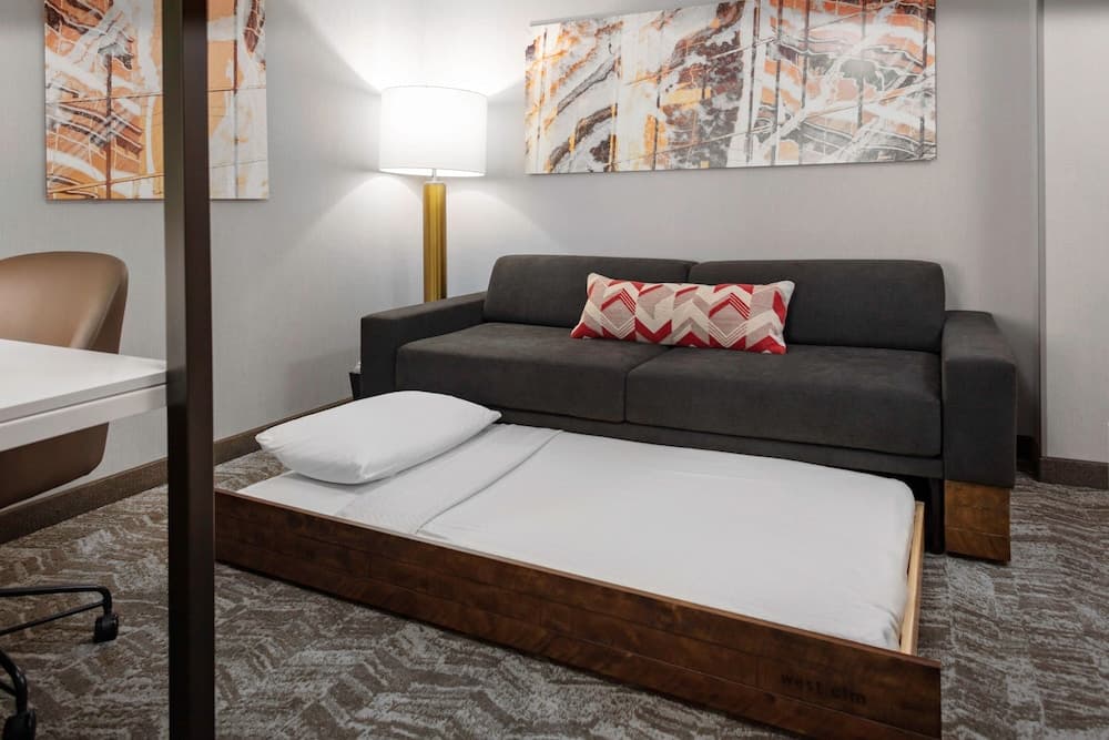 SpringHill Suites by Marriott Beaufort