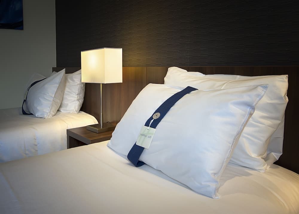 Holiday Inn Express Lille Centre by IHG