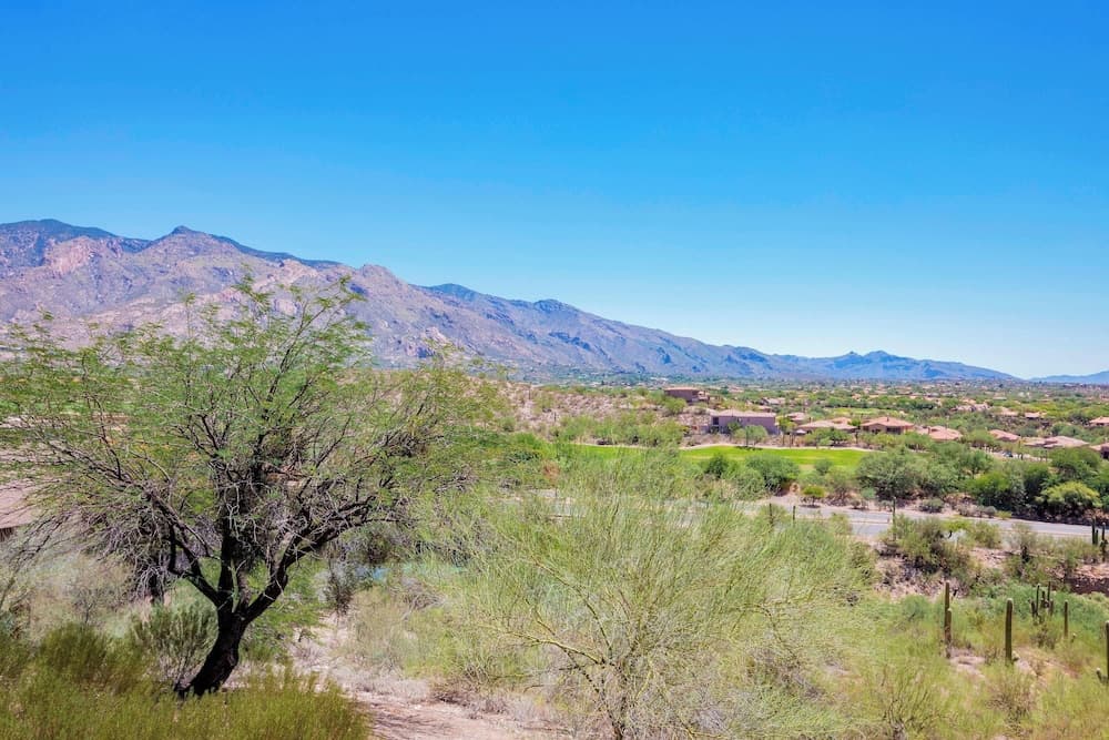 The Westin La Paloma Resort and Spa