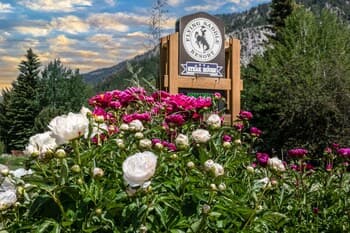 Flying Saddle Resort