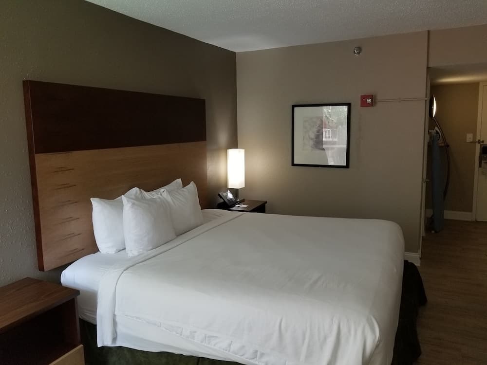 Stayable Select Gainesville