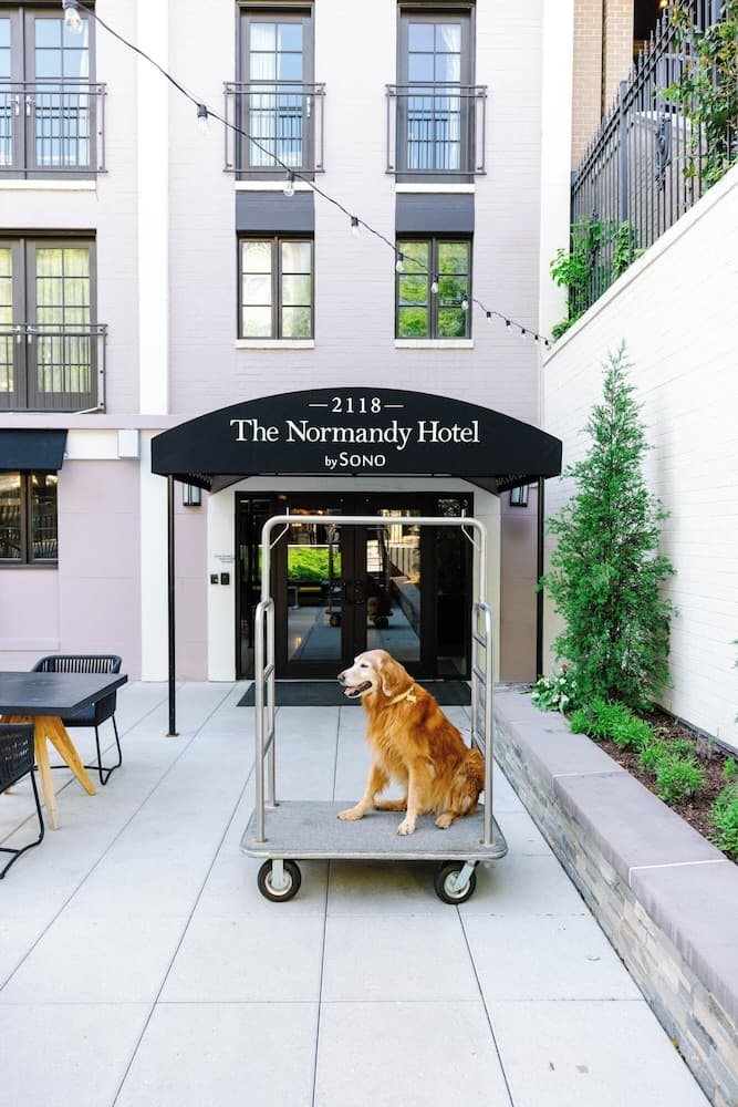 hotel image