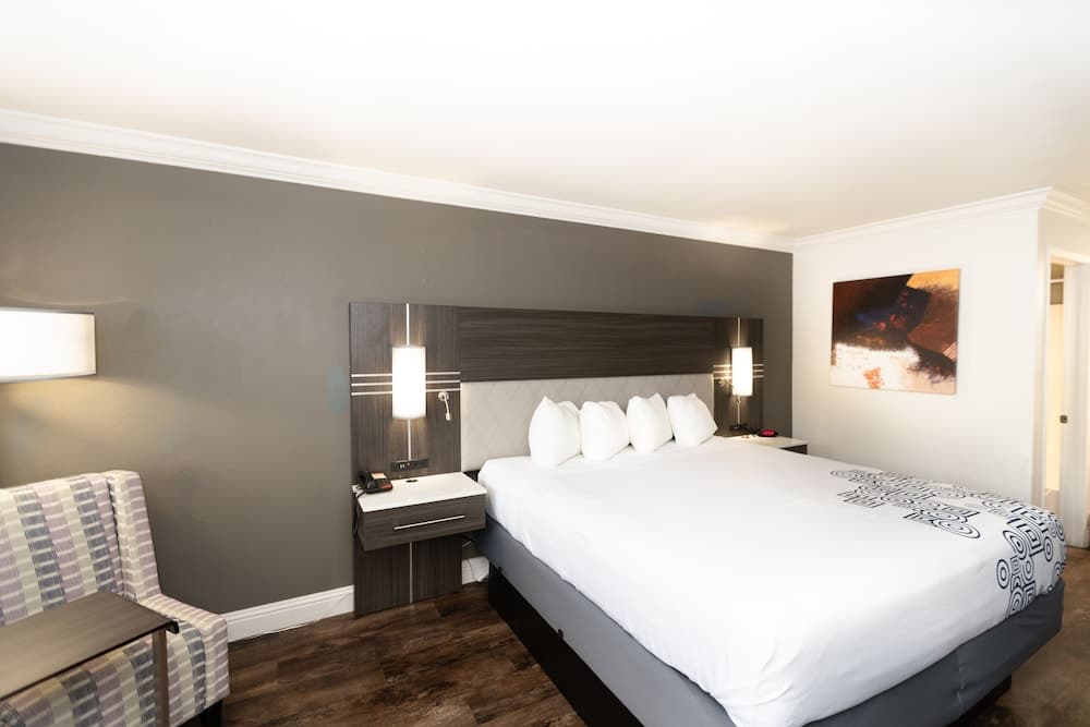 Rodeway Inn San Jose HWY-101 Tully Rd Exit