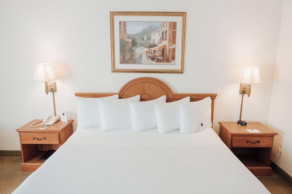 Ann Arbor Regent Hotel & Suites