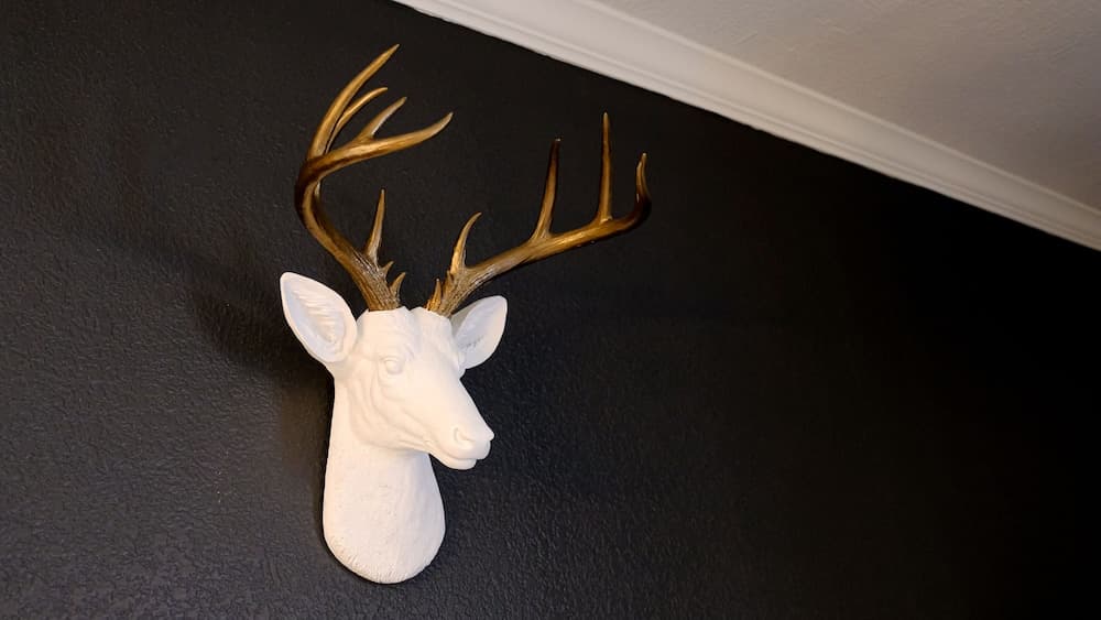 Tapatio Springs Hill Country Resort