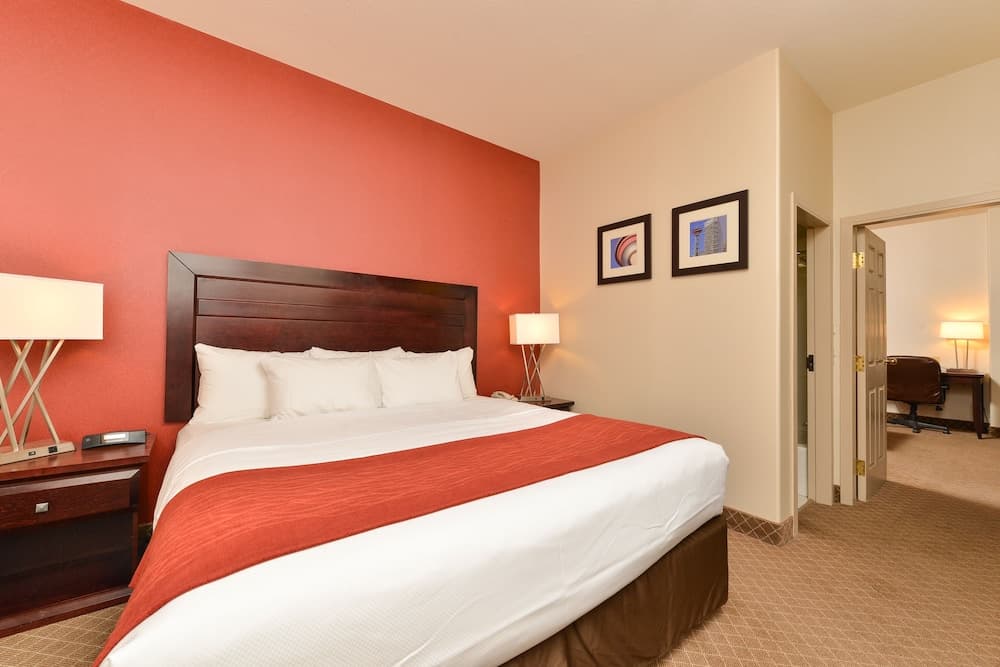 Comfort Inn & Suites Airport South