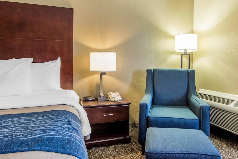 Comfort Inn Atlanta Downtown South