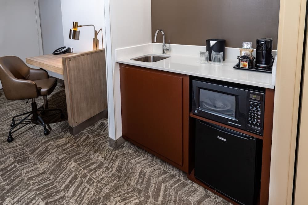 SpringHill Suites Houston Medical Center/NRG Park