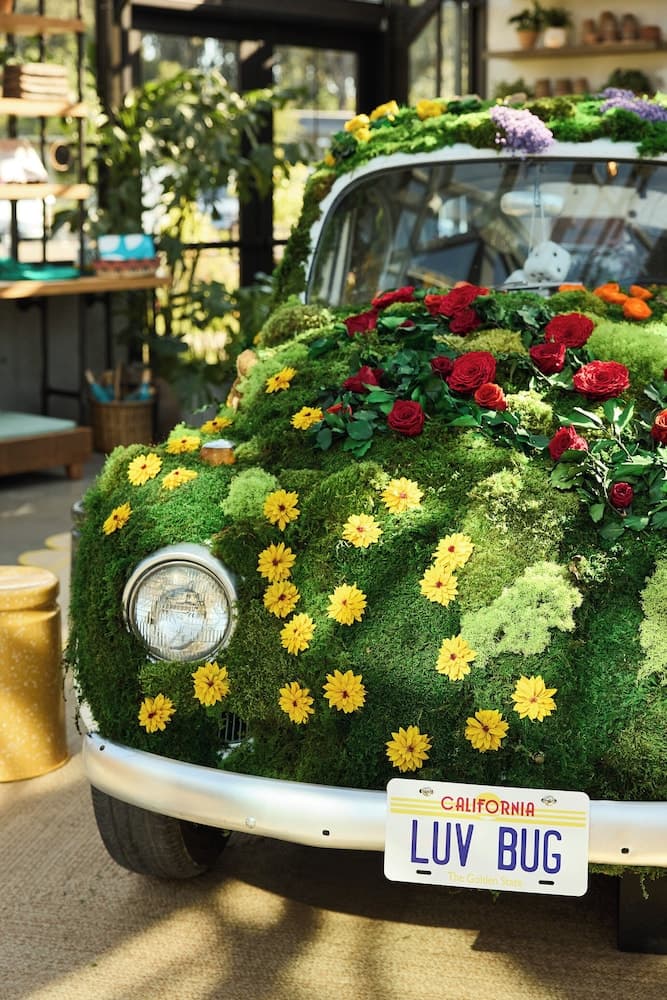 Treehouse Hotel Silicon Valley