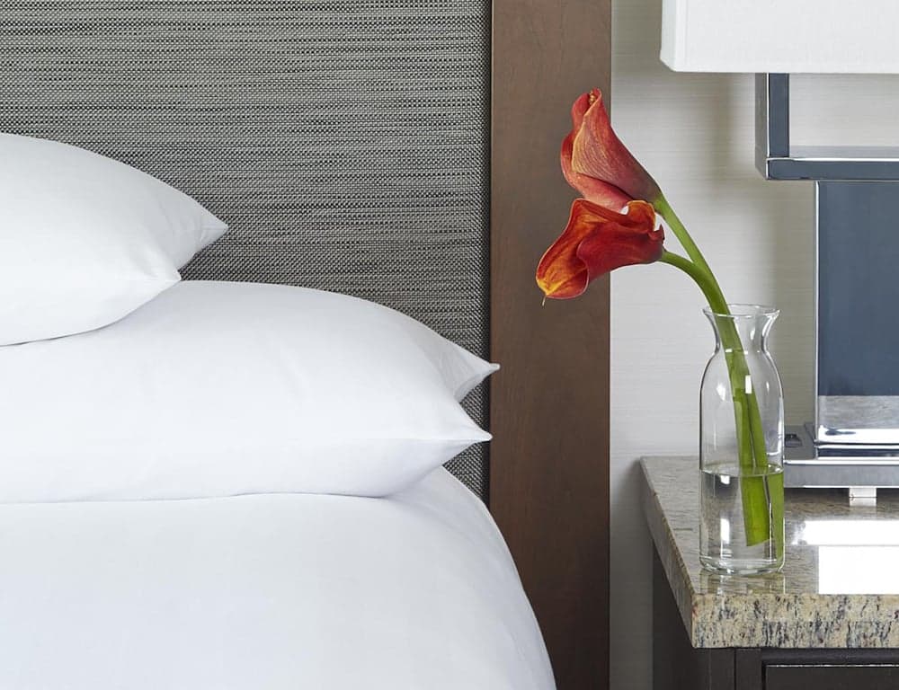 Hyatt Regency Atlanta Downtown