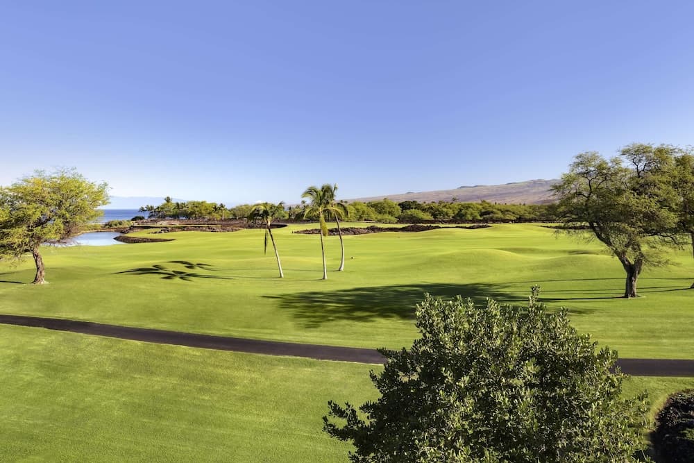 Fairmont Orchid