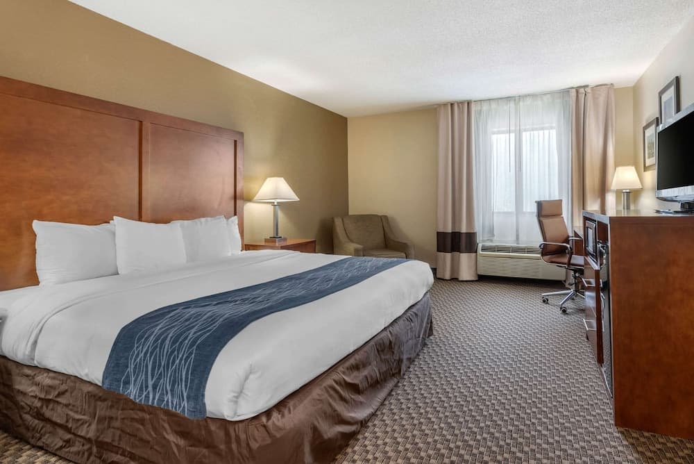 Comfort Inn Indianapolis South