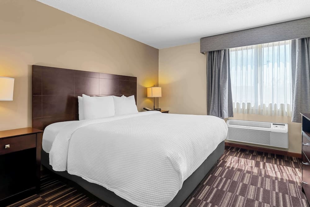 Best Western University Inn