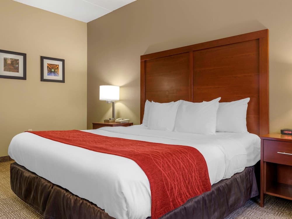 Comfort Inn Duncansville - Altoona