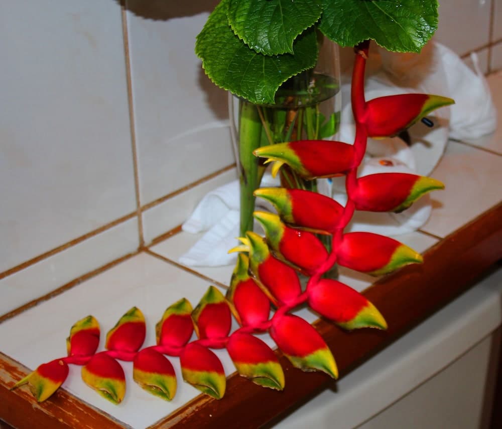 Soluxe El Sesteo Hotel