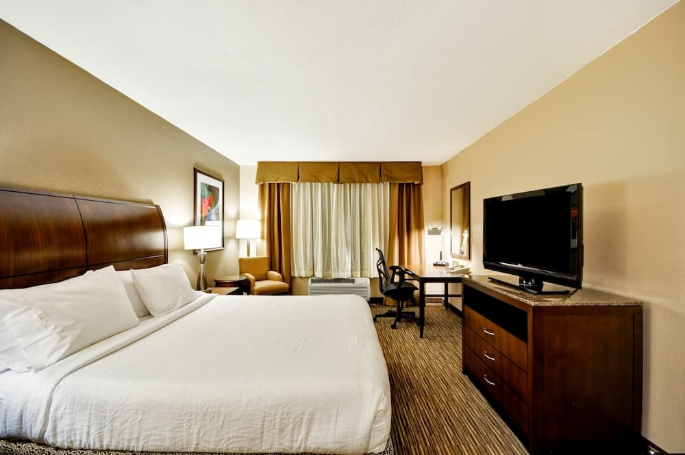 Hilton Garden Inn Tampa North Busch Gardens