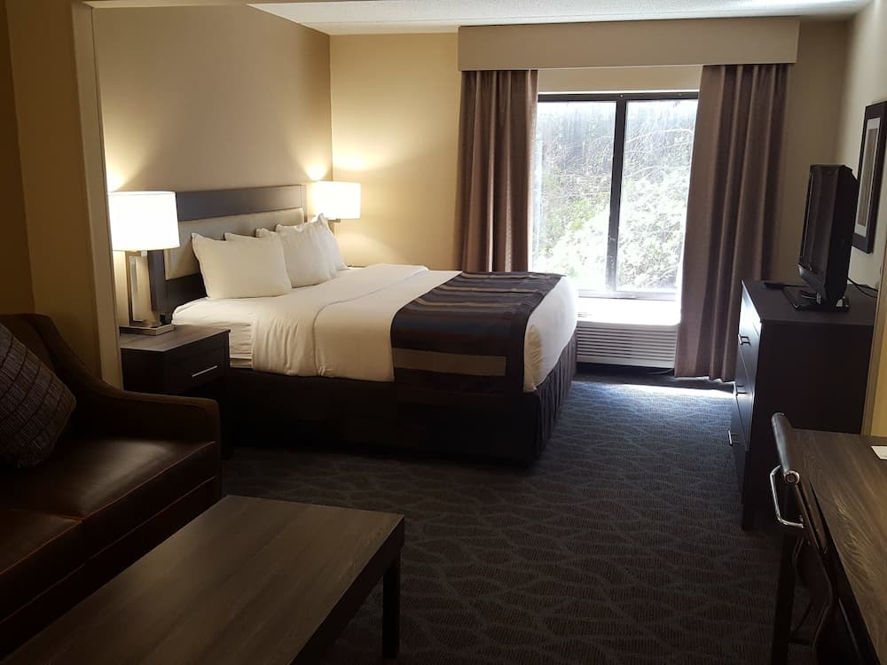 Comfort Suites Alpharetta/Roswell - Atlanta Area