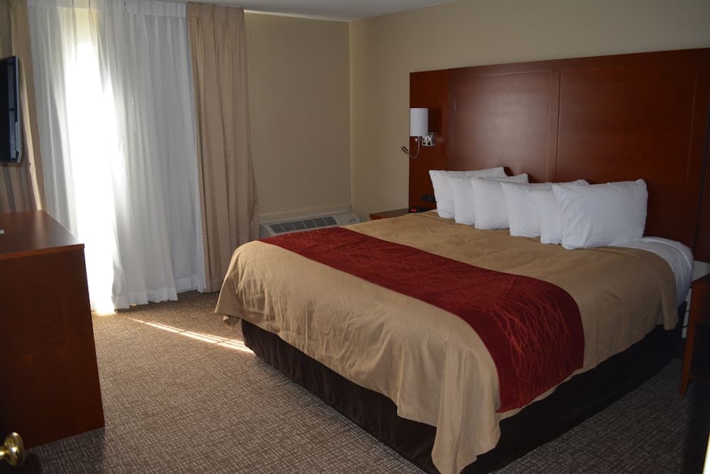 Comfort Inn Savannah Midtown