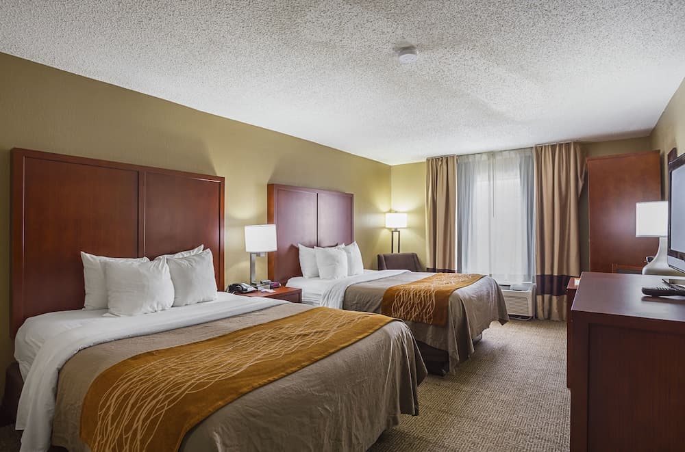 Comfort Inn University Area