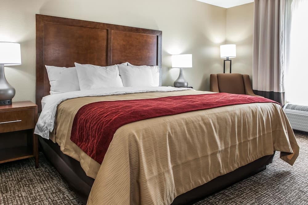 Comfort Inn & Suites Mount Sterling