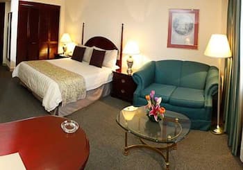 Hotel Pedregal Palace