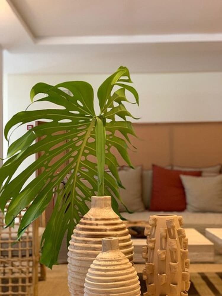 Marina Smir Hotel & Spa