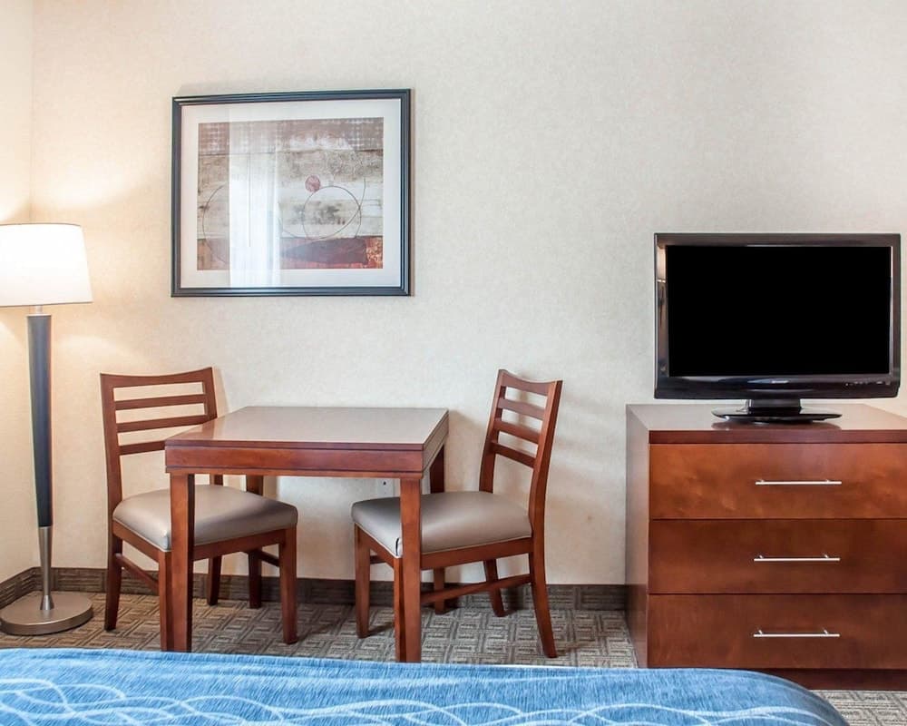 Comfort Inn & Suites Hamburg - Buffalo South