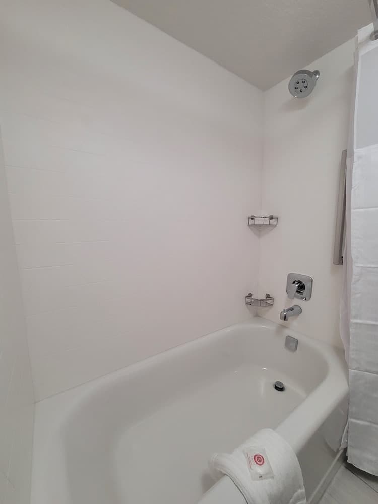 City Express by Marriott Orlando International Drive