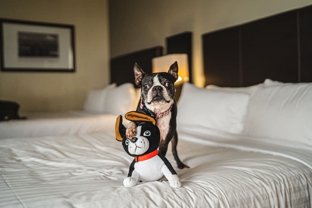 Santiago Marriott Hotel