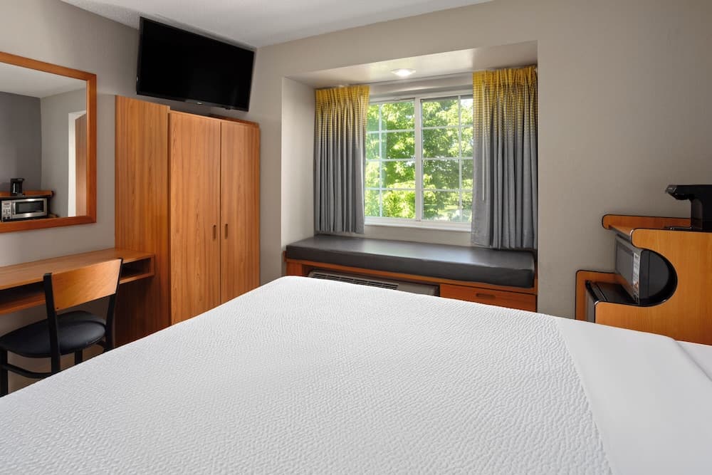 Microtel Inn & Suites by Wyndham Ann Arbor