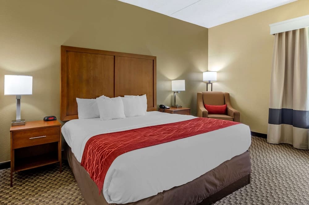 Comfort Inn Waynesboro