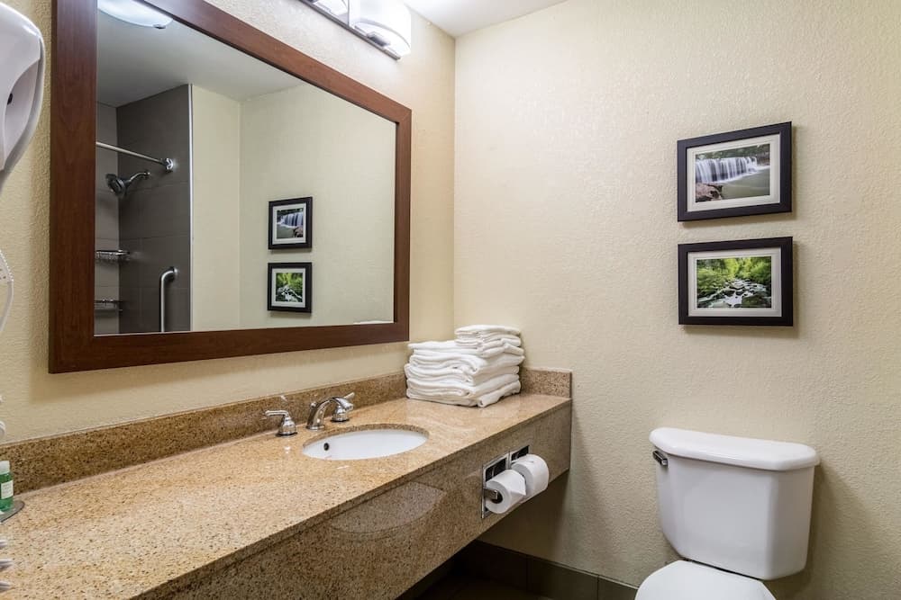 Comfort Inn & Suites - Hannibal