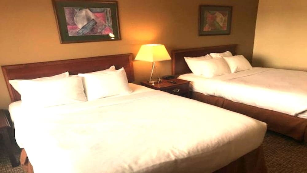 Comfort Inn & Suites Morton - Peoria