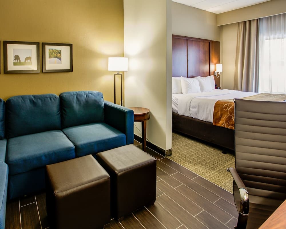 Comfort Suites Georgetown