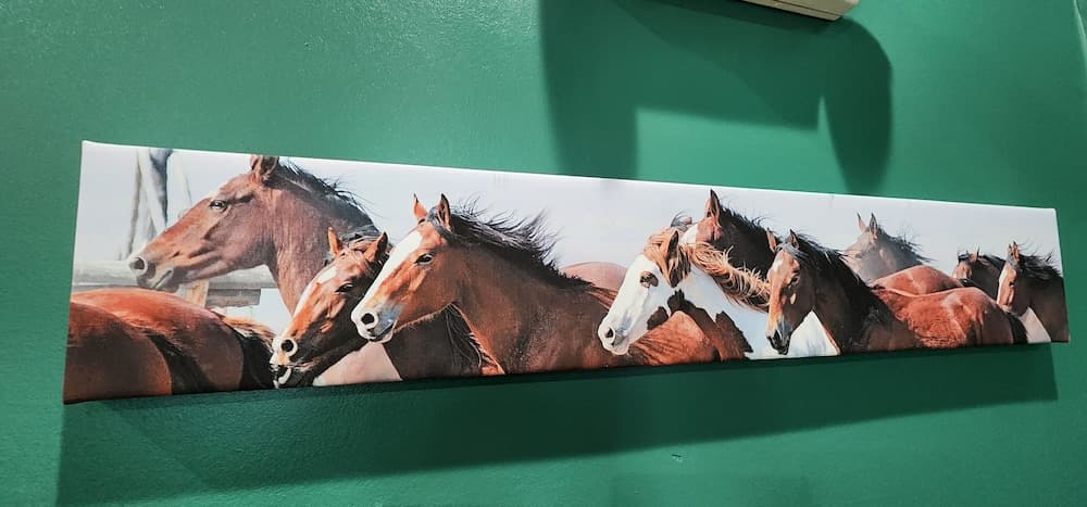 Quality Inn Dry Ridge